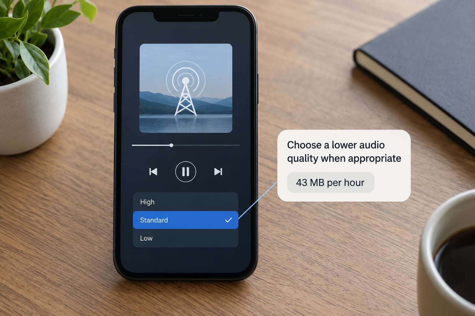 Choose a lower audio quality when appropriate